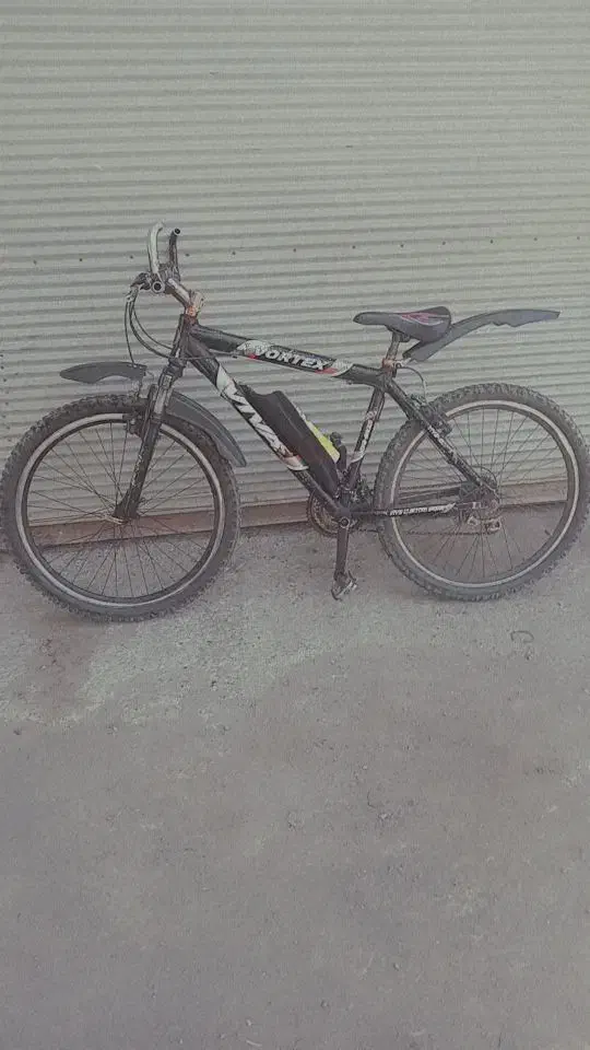 دوچرخه اصل ویوا 26|دوچرخه، اسکیت، اسکوتر|باسمنج, |دیوار