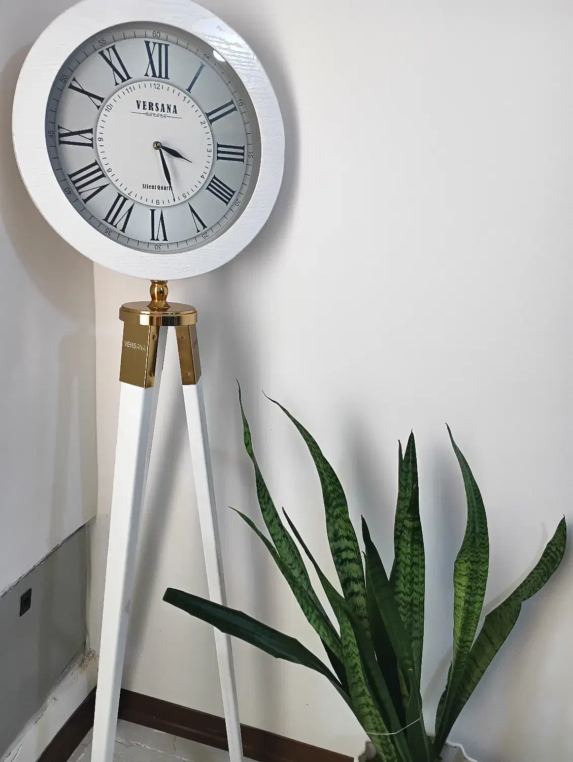 ساعت ایستاده|ساعت دیواری و تزئینی|پیشوا, |دیوار