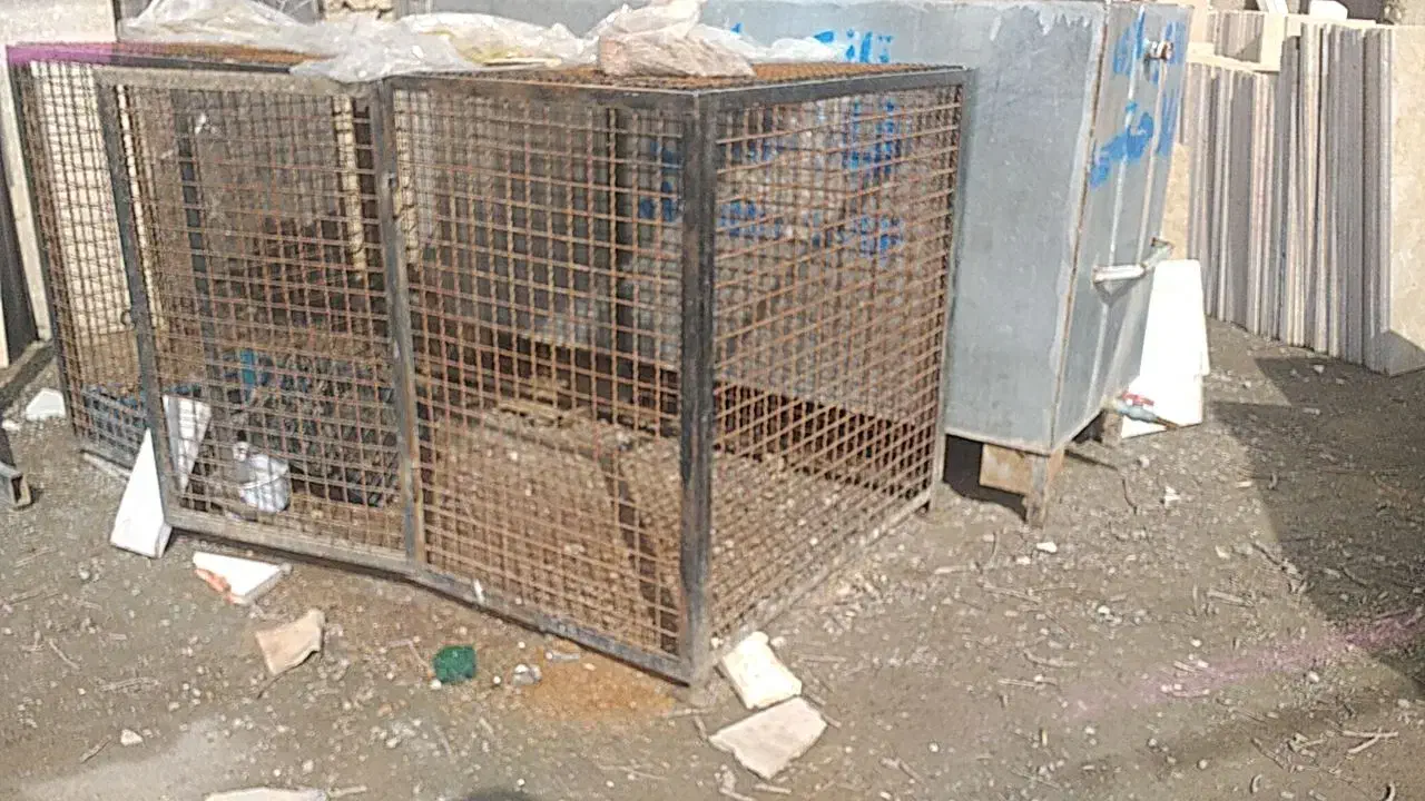 تانکر آب|ابزارآلات|سبزوار, شرق کال شمالی|دیوار