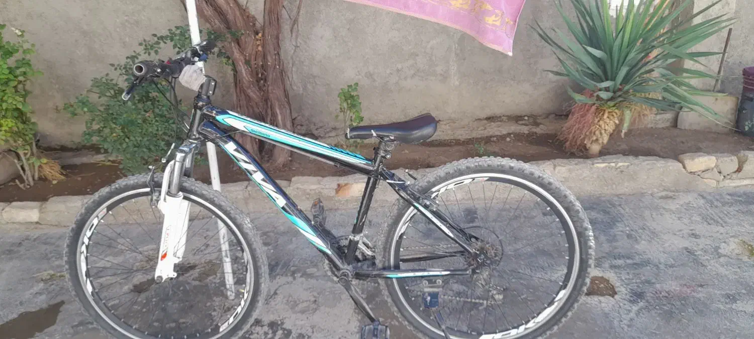 دوچرخه ۲۶|دوچرخه، اسکیت، اسکوتر|خزل, |دیوار