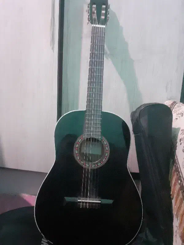 کیتار حرفه ای نو|گیتار، بیس، امپلیفایر|ایلام, |دیوار