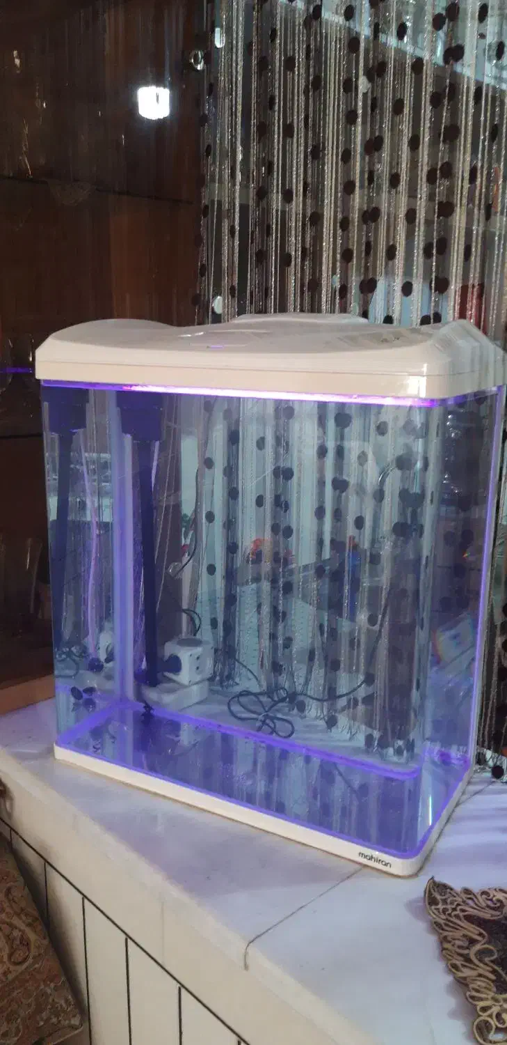 آکواریوم ماهیران|ماهی|اصفهان, رهنان|دیوار