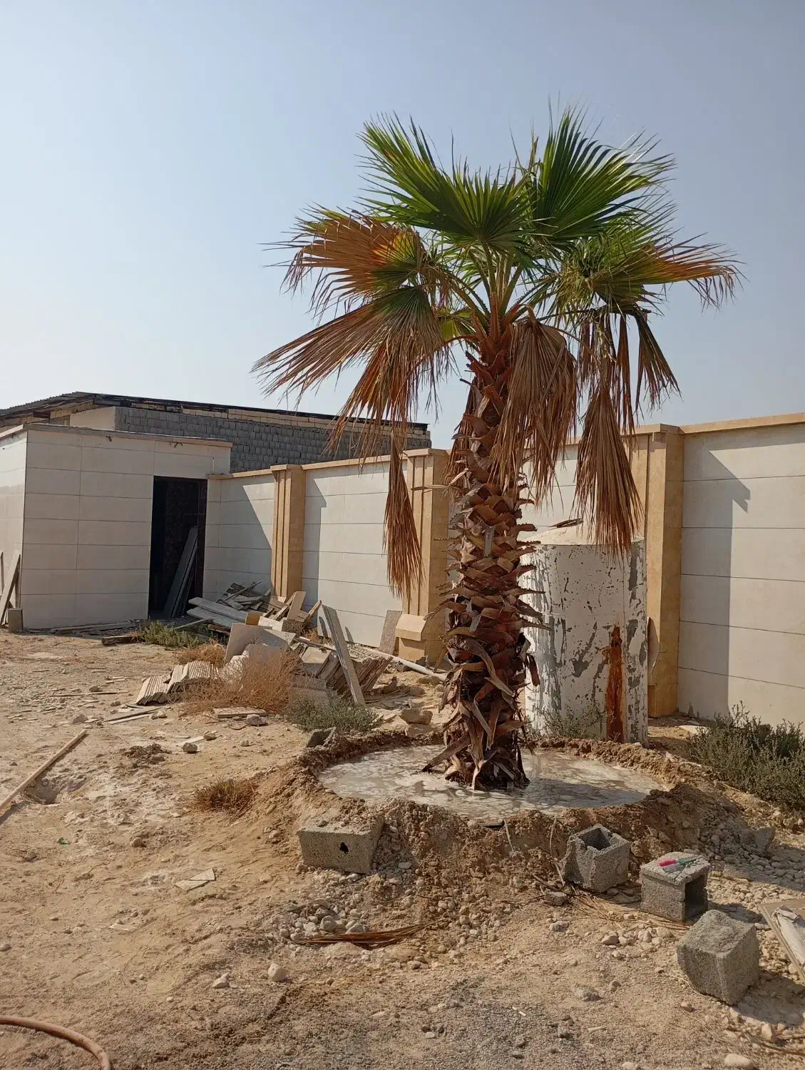 باغ . انبار . تالار|فروش دفتر صنعتی، کشاورزی، تجاری|بوشهر, |دیوار