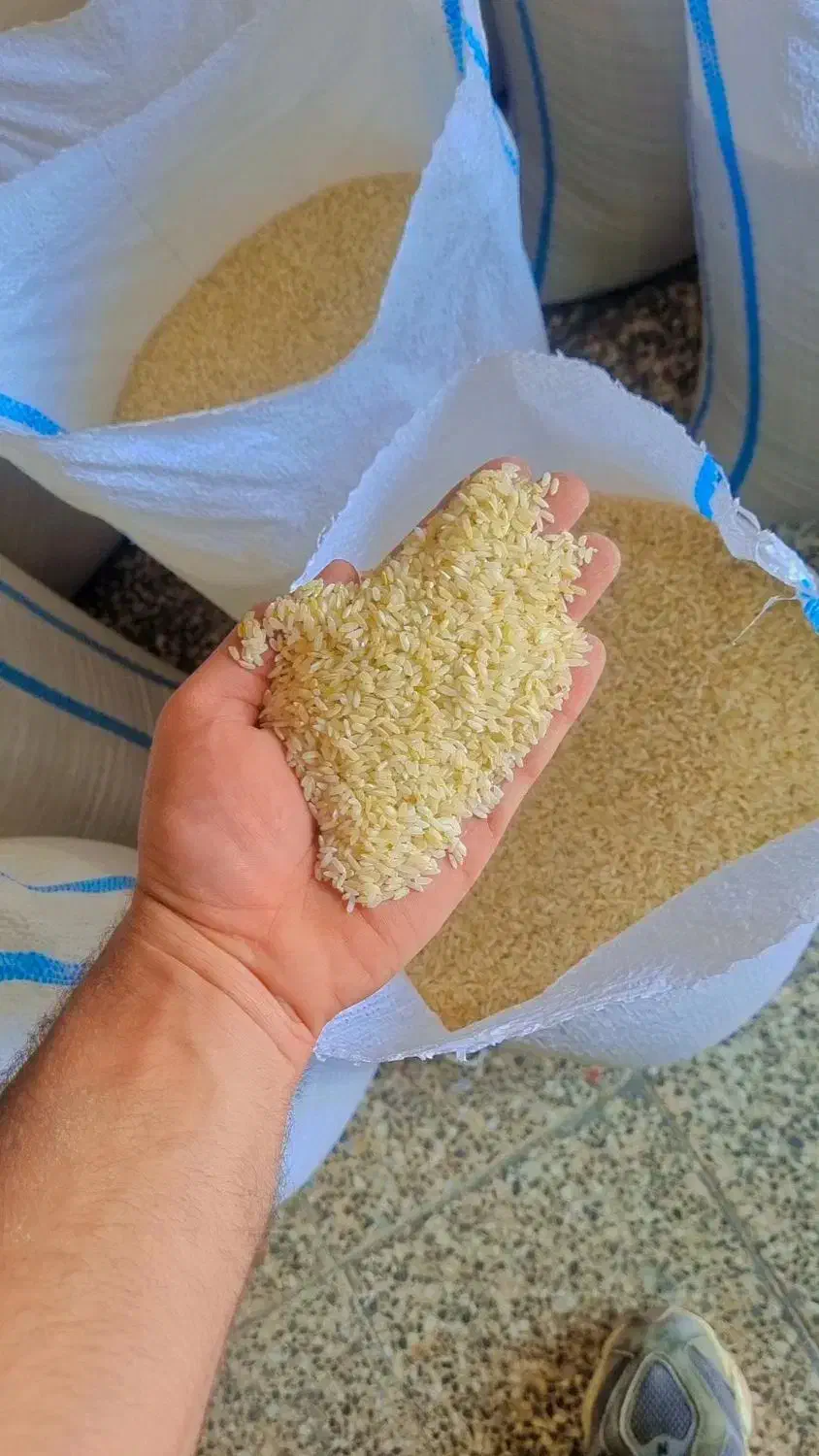 فروش برنج چمپا درجه یک پاک کردن برنج و خورده برنج|خوردنی و آشامیدنی|یاسوج, |دیوار