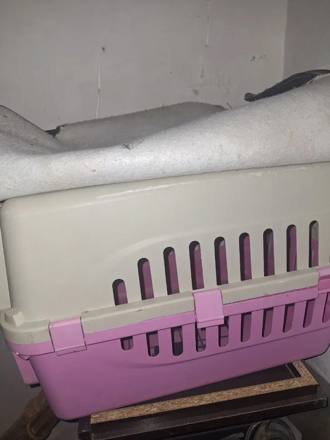 باکس گربه|لوازم جانبی حیوانات|مشهد, چهارچشمه|دیوار