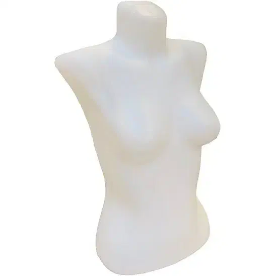 مانکن نیم تنه پلاستیکی|فروشگاه و مغازه|اردبیل, |دیوار