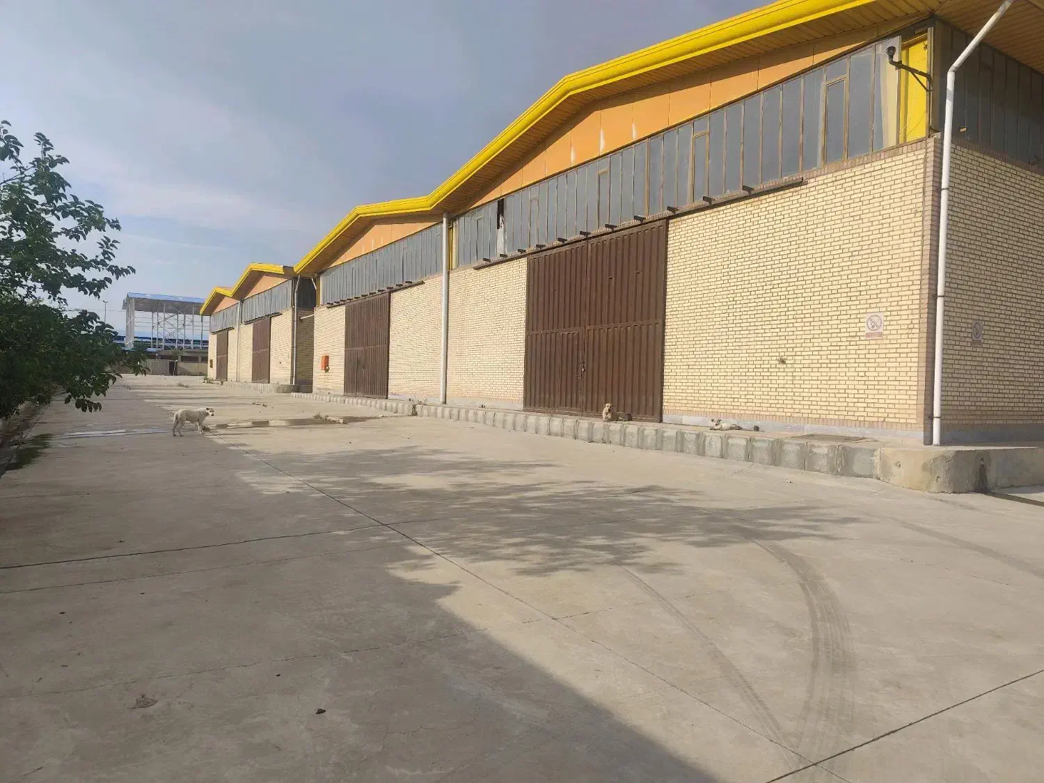 اجاره کارخانه ۳۳۰۰۰م برق۵۰۰گاز ایستگاه کد۳۴۹۵|اجارهٔ دفتر صنعتی، کشاورزی، تجاری|زاویه, |دیوار