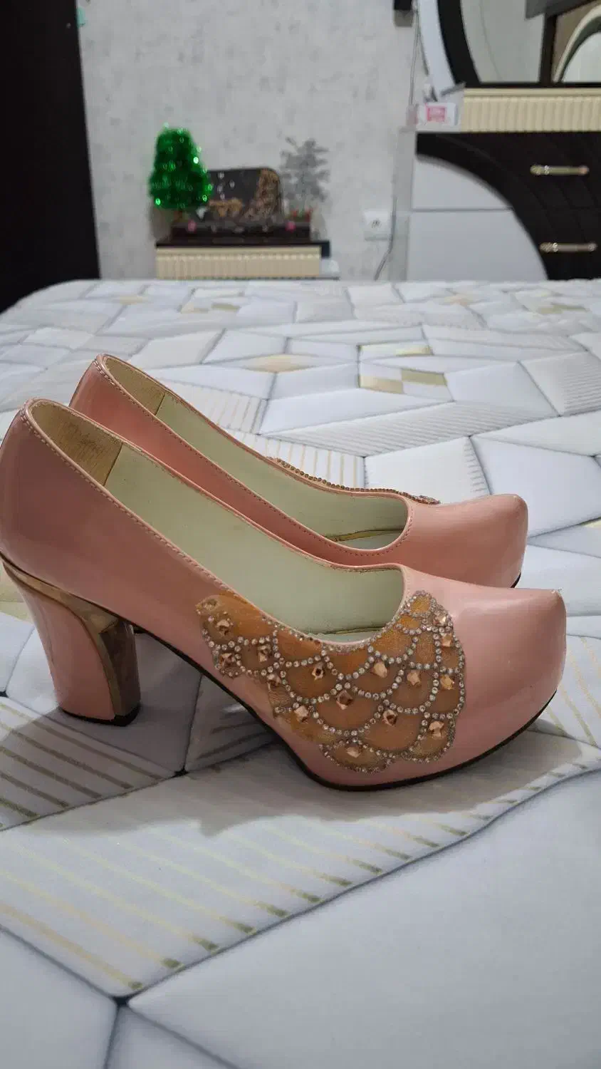 کفش مجلسی|کیف، کفش، کمربند|گنبد کاووس, |دیوار