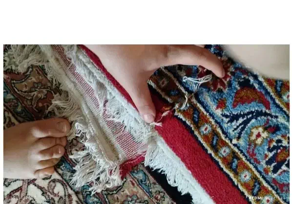 فرش ماشینی ۱۲متری|فرش|دزفول, |دیوار