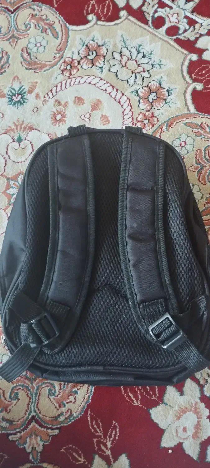 کیف کفشدوزک|کیف، کفش، کمربند|مراغه, |دیوار