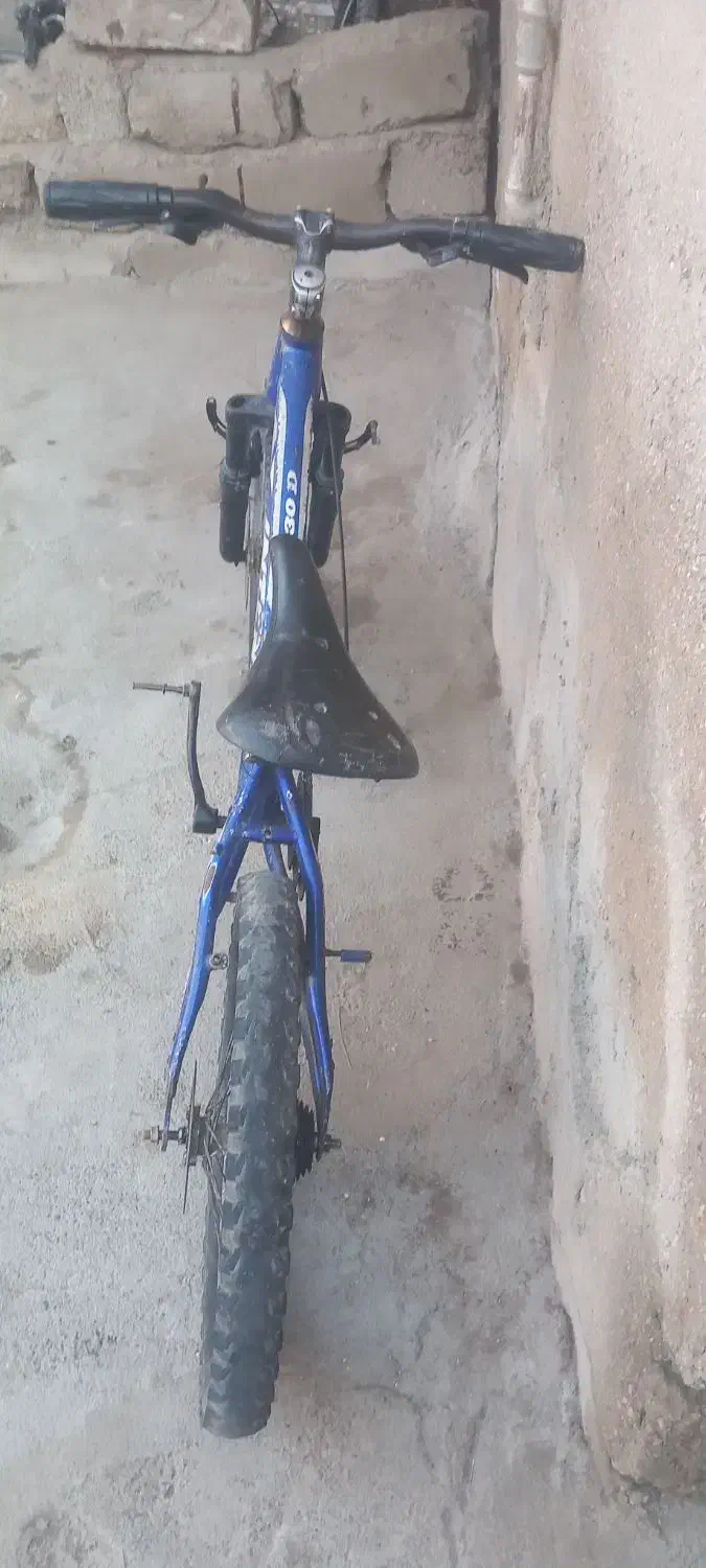 دوچرخه|دوچرخه، اسکیت، اسکوتر|بندر گناوه, |دیوار