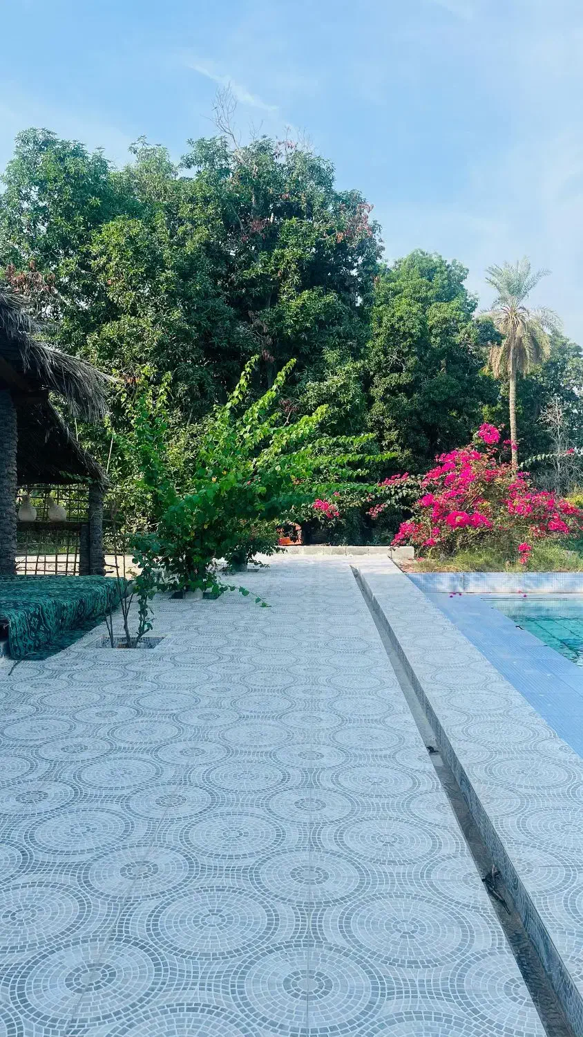 اجاره روزانه/هفتگی/ماهانه سوئیت|اجارهٔ کوتاهمدت آپارتمان و سوئیت|میناب, |دیوار