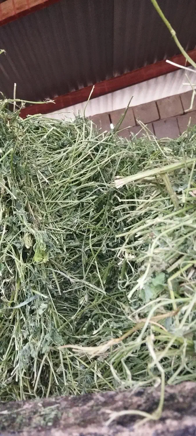 یونجه|لوازم جانبی حیوانات|بیستون, |دیوار