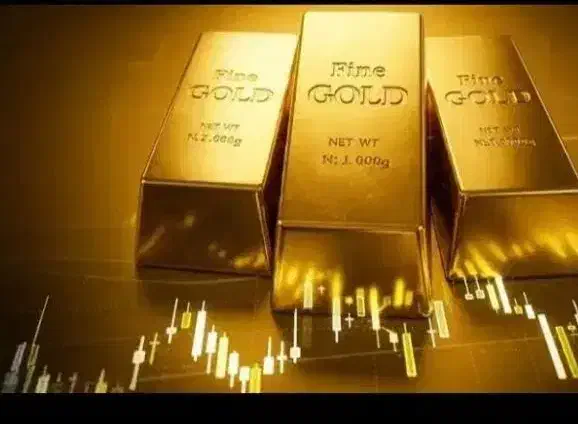 ضامن A|خدمات مالی، حسابداری، بیمه|مرودشت, ژیان|دیوار