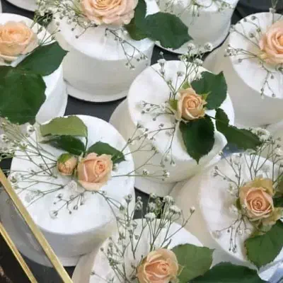 فیلمبرداری|خدمات پذیرایی، مراسم|زنجان, |دیوار