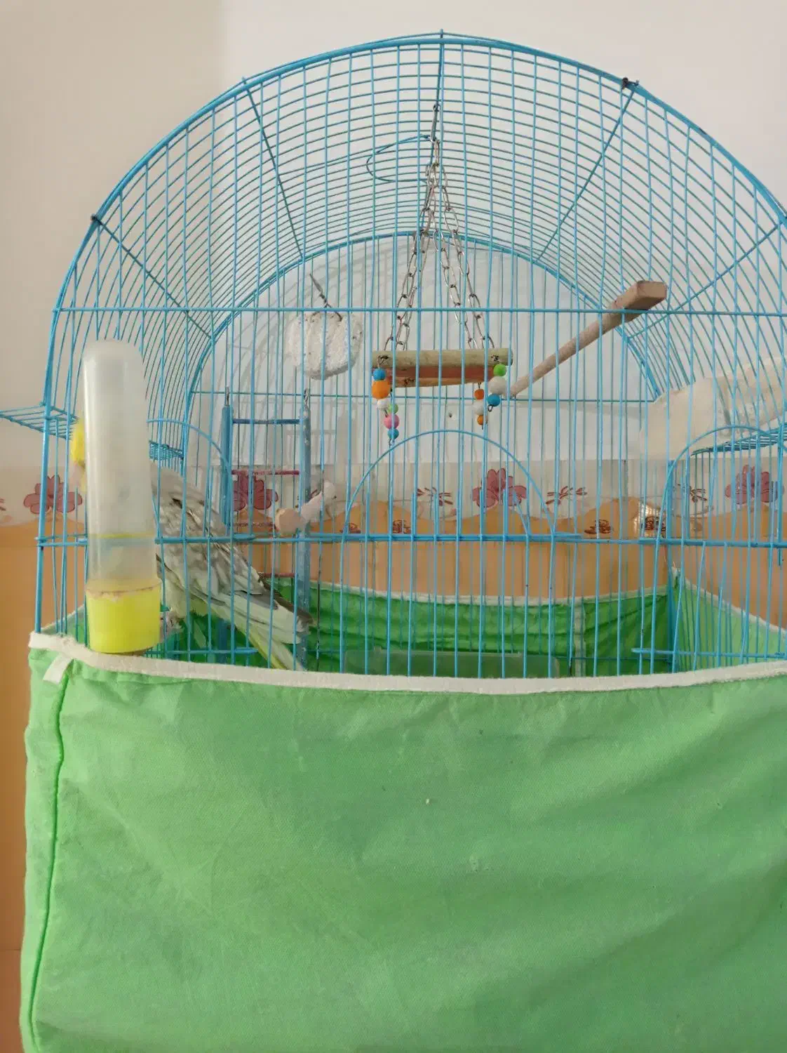 عروس هلندی دستی|پرنده|باروق, |دیوار