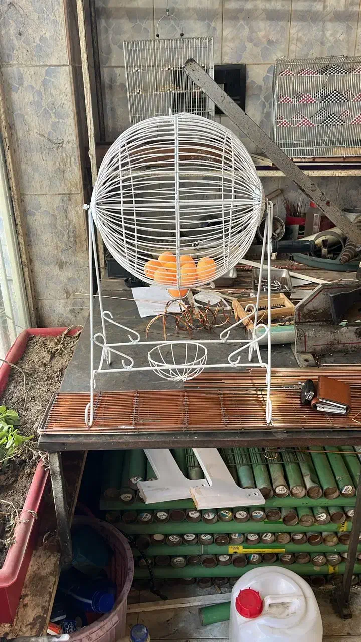 گردونه قرعه کشی اجاره ای|خدمات پذیرایی، مراسم|پاتاوه, |دیوار