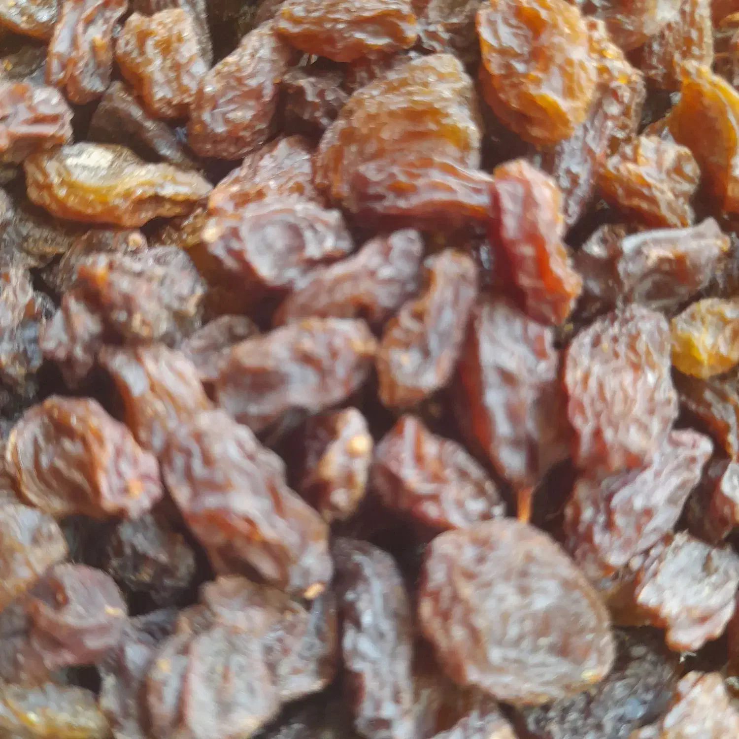 کشمش آفتابی درجه یک بونات|عمده‌فروشی|اصفهان, شهرک کاوه|دیوار