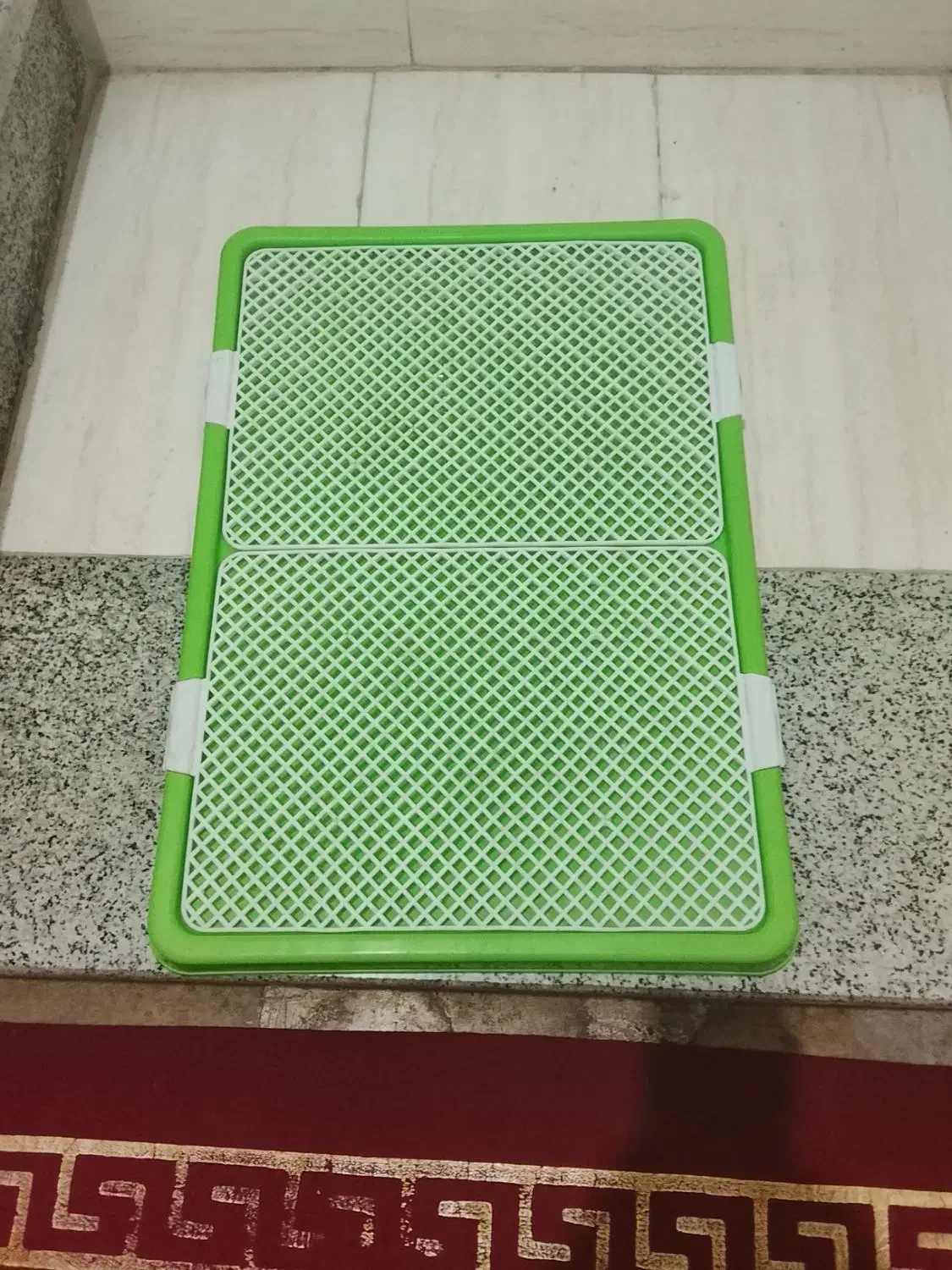 وسایل سگ|سگ|شیراز, محراب|دیوار