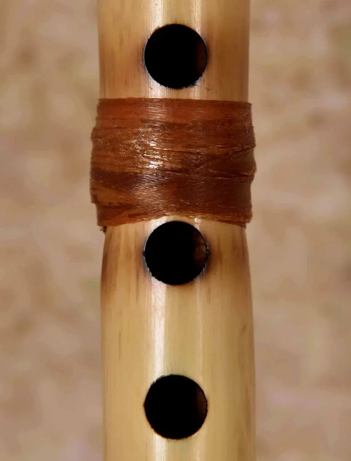 نی هفت بند ایرانی|سازهای بادی|بندرعباس, |دیوار