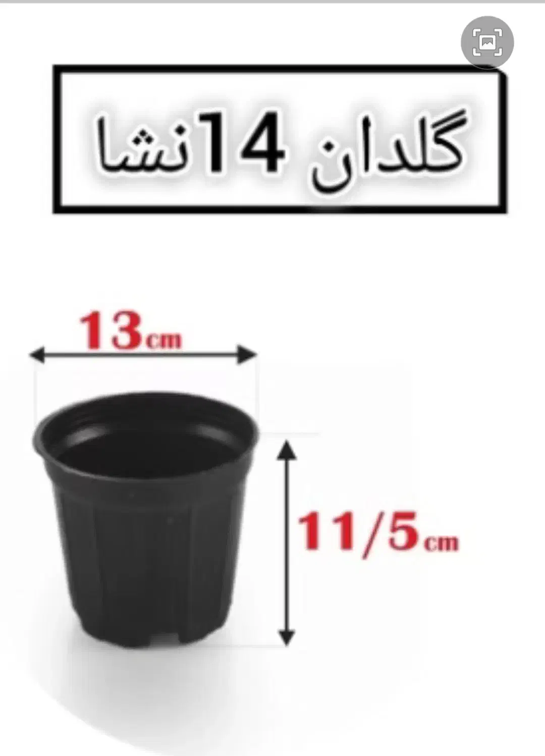 گلدان سیاه|گل و گیاه طبیعی|شیراز, کوی آزادگان|دیوار