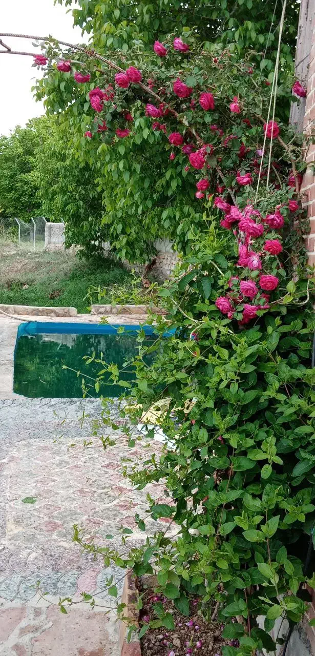 اجاره کوتاه مدت باغ ویلا دو خوابه|اجارهٔ کوتاهمدت ویلا و باغ|بجنورد, |دیوار