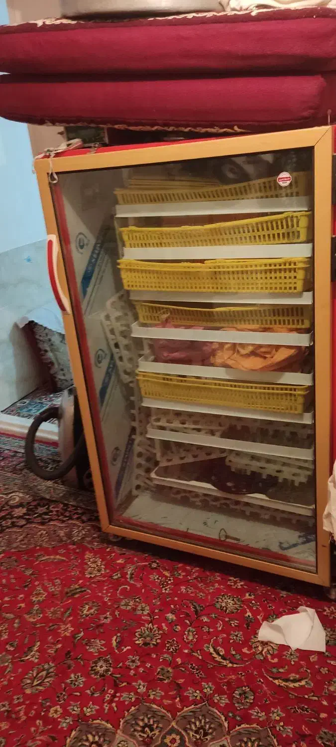 دستگاه جوجه کشی مشهد برق|لوازم جانبی حیوانات|اشتهارد, |دیوار