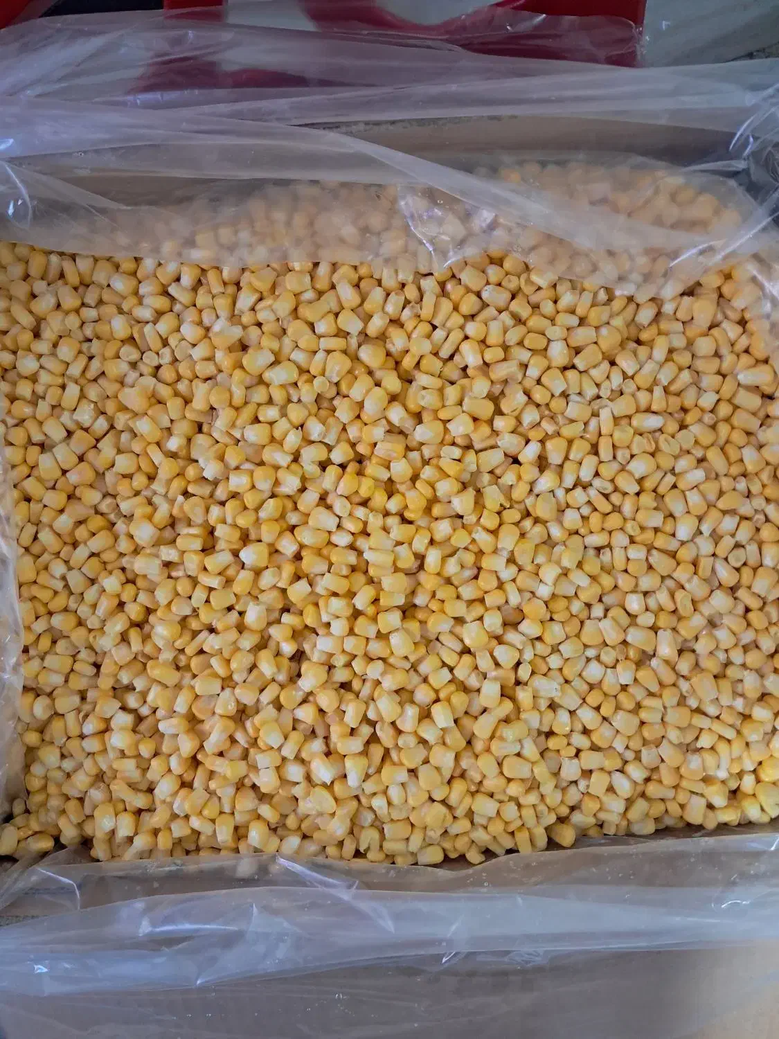 ذرت مکزیکی|خوردنی و آشامیدنی|نسیمشهر, |دیوار