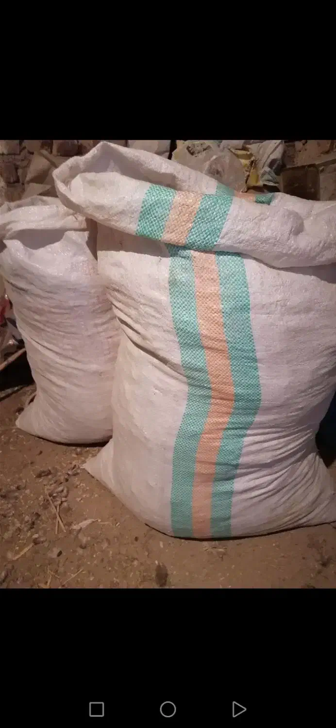 کود کفتر ی وگاوی|گل و گیاه طبیعی|کرمان, |دیوار