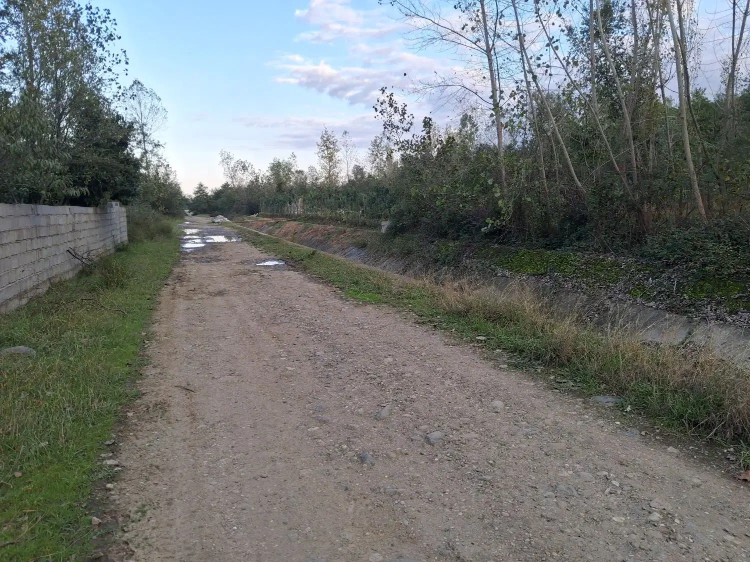 زمین مناسب گل و گیاه|فروش زمین و ملک کلنگی|واجارگاه, |دیوار