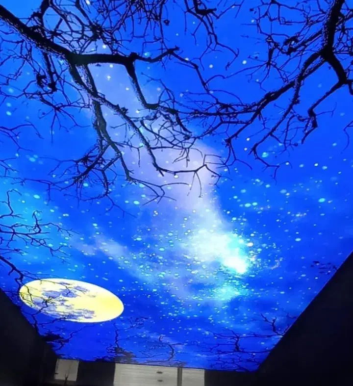 گچ کاری.کاشی.سقف کشسانی.لاین نوری|خدمات پیشه و مهارت|تبریز, |دیوار