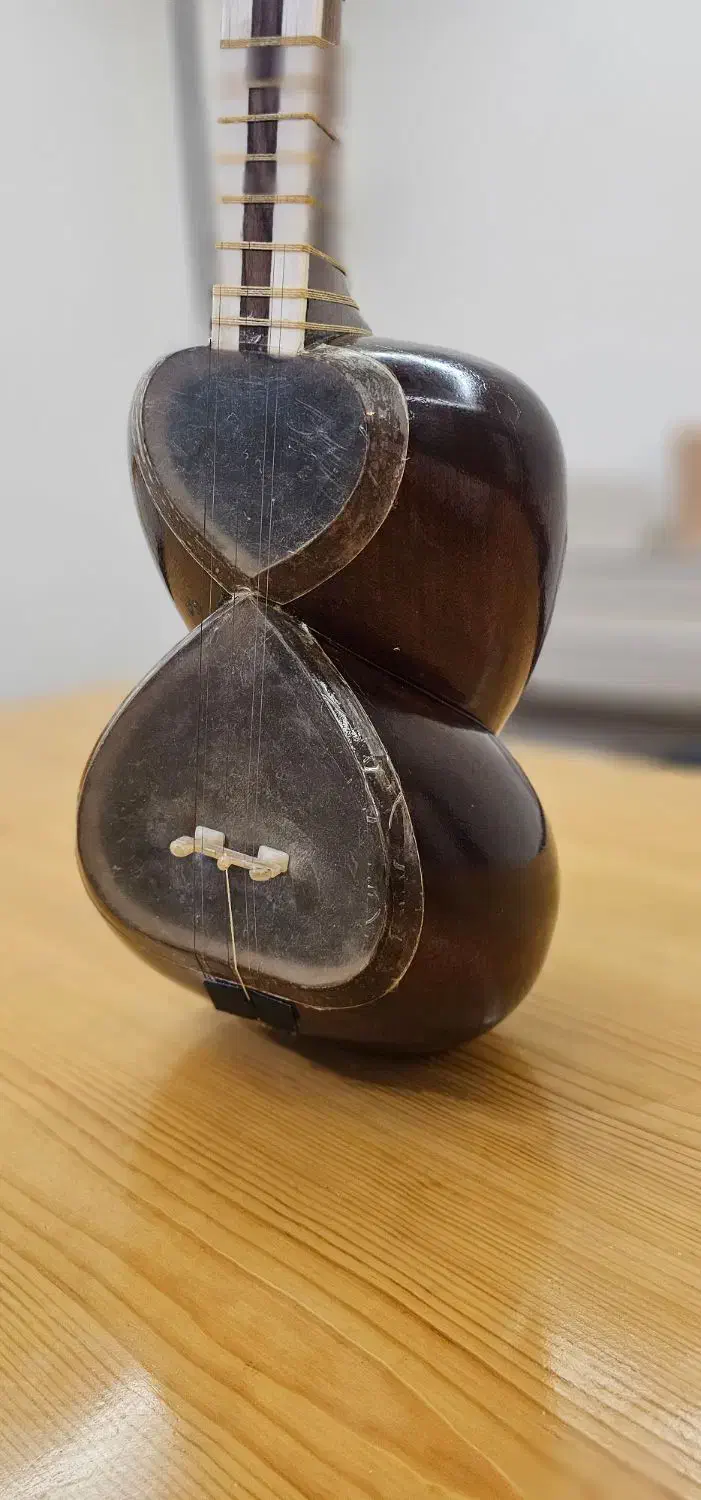 تار شیراز دو مهر ایران ساز|سازهای سنتی|تهران, فلسطین (میدان انقلاب)|دیوار