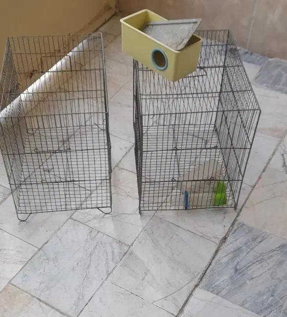 قفس پرنده|لوازم جانبی حیوانات|رباطکریم, کاظمآباد|دیوار
