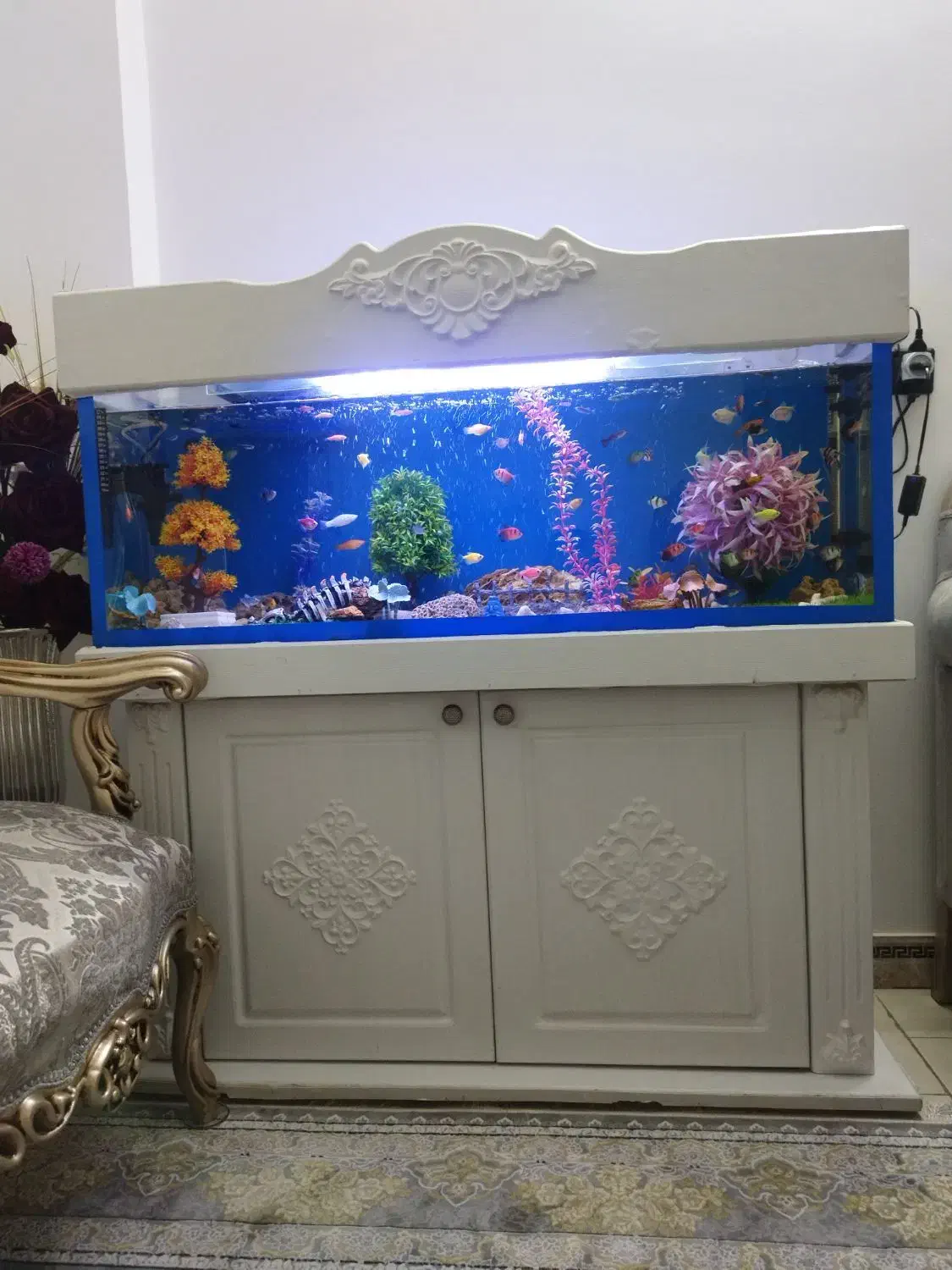 اکواریوم حرفه ای با کمد|ماهی|محمدیه-قزوین, |دیوار