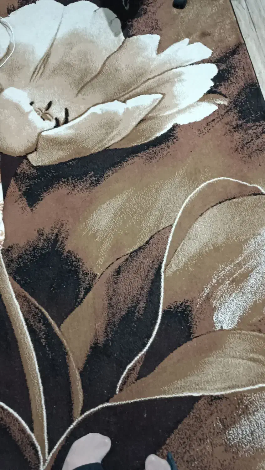 دوعدد گلیم فرش بزرگمهر|گلیم، جاجیم، گبه|ملایر, |دیوار