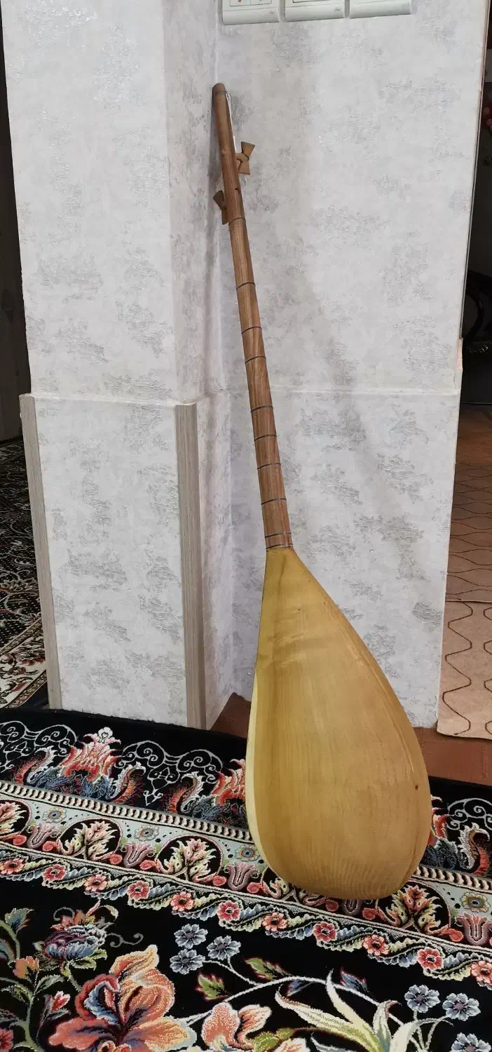 دوتار|سازهای سنتی|تایباد, |دیوار