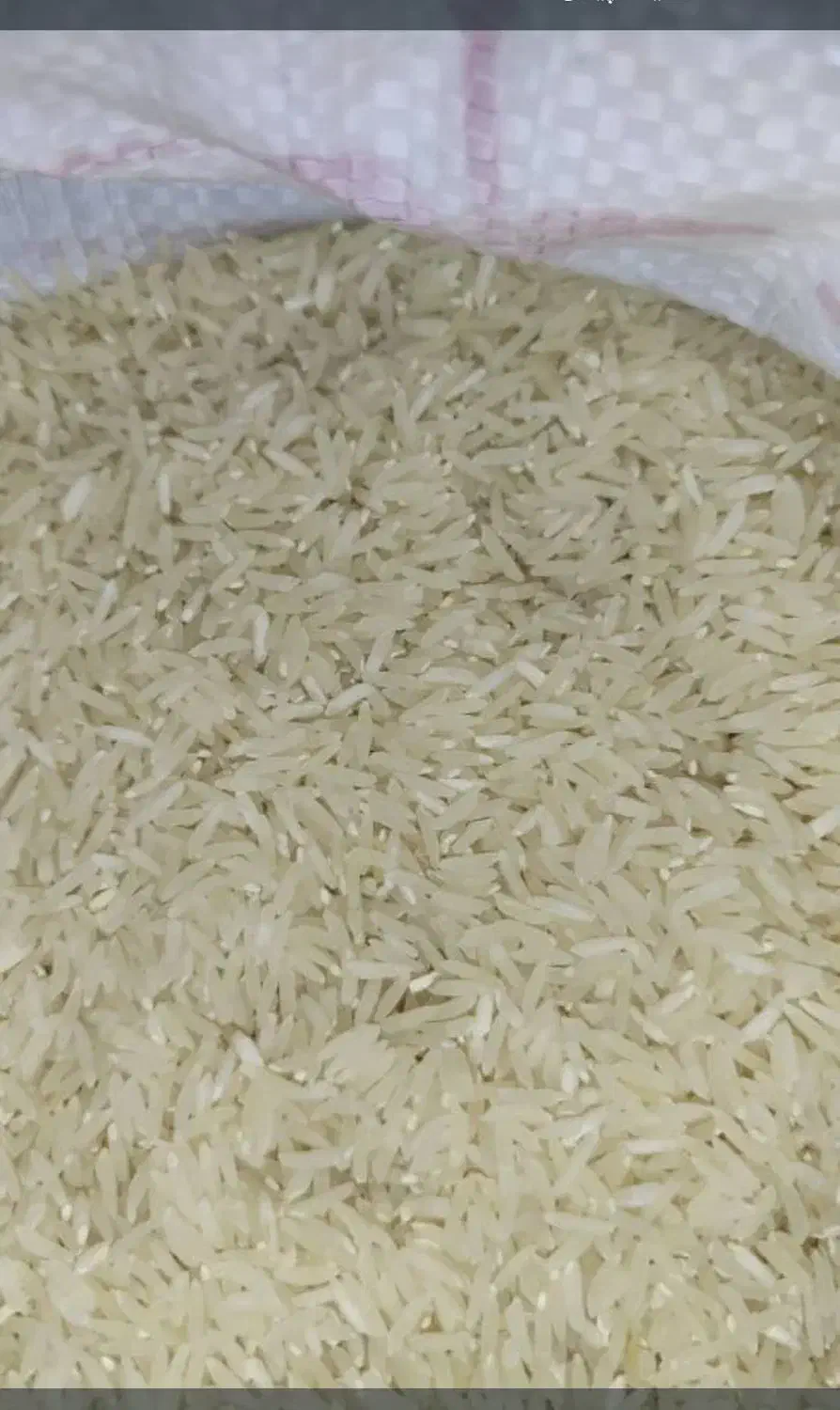 برنج طارم|خوردنی و آشامیدنی|گیلان غرب, |دیوار