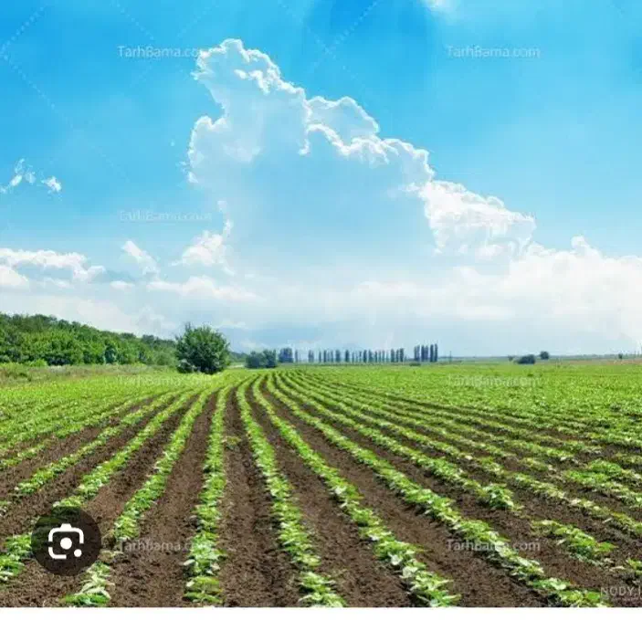 فروش زمین|فروش زمین و ملک کلنگی|باقرشهر, |دیوار