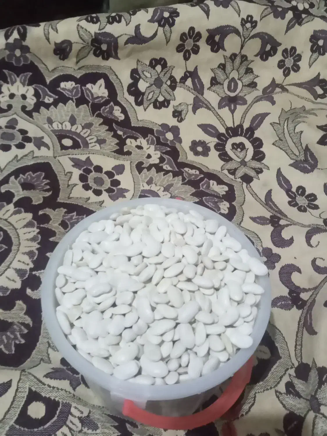 فروشی|خوردنی و آشامیدنی|اردبیل, |دیوار