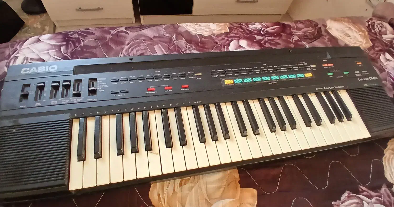 کاسیو آموزشی|پیانو، کیبورد، آکاردئون|رشت, پل تالشان|دیوار