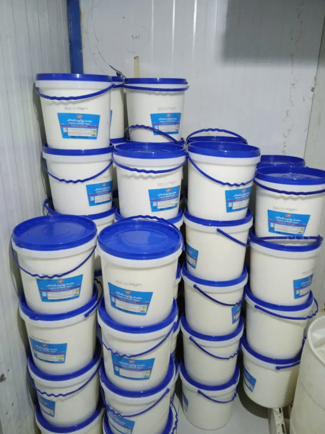 ماست خامه ای کاله|خوردنی و آشامیدنی|مشهد, سرافرازان|دیوار