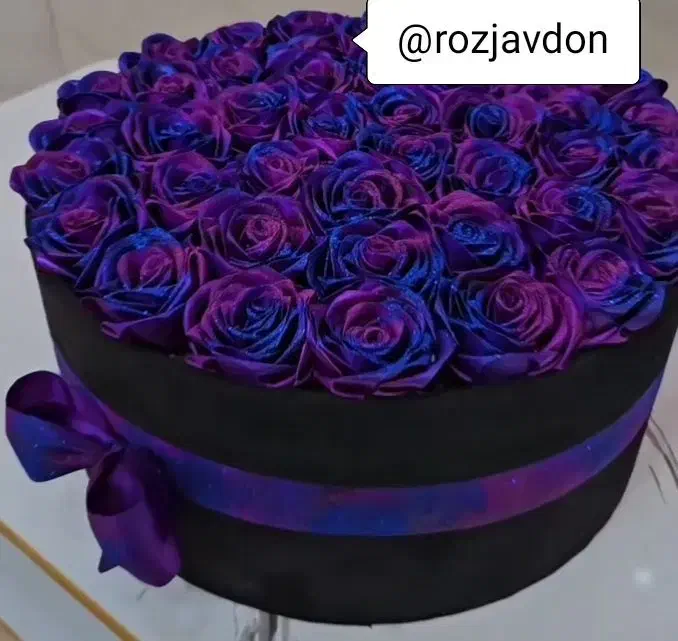 بلک فرایدی گل مصنوعی (۱۱تومان)|گل مصنوعی|قم, نیروگاه|دیوار