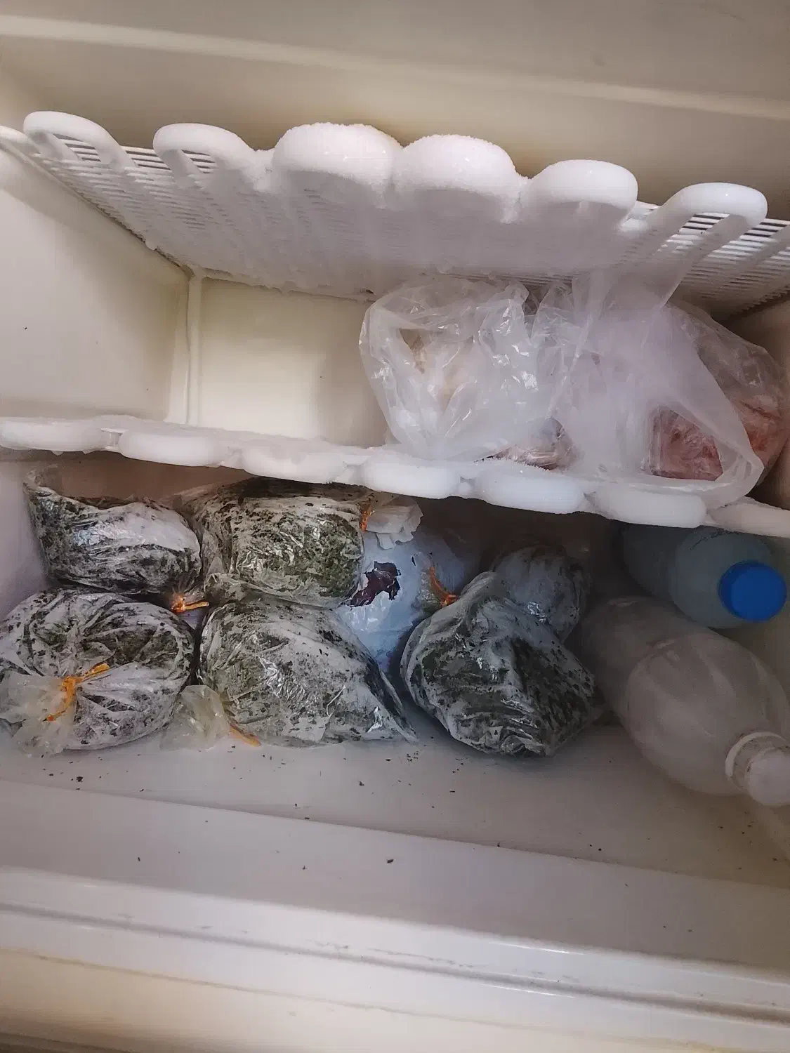 یخچال فریزر|یخچال و فریزر|ساری, |دیوار