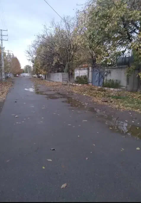 باغ بهشت جنگل2نبش کنتورکرج سهیلیه زعفرانیه کردان|فروش زمین و ملک کلنگی|کرج, عظیمیه|دیوار