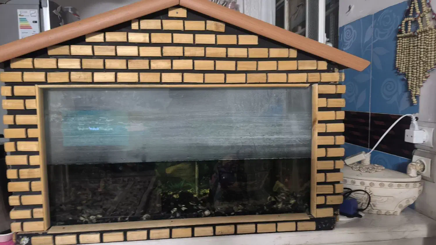 آکواریوم با لوازم|ماهی|قم, ولیعصر|دیوار