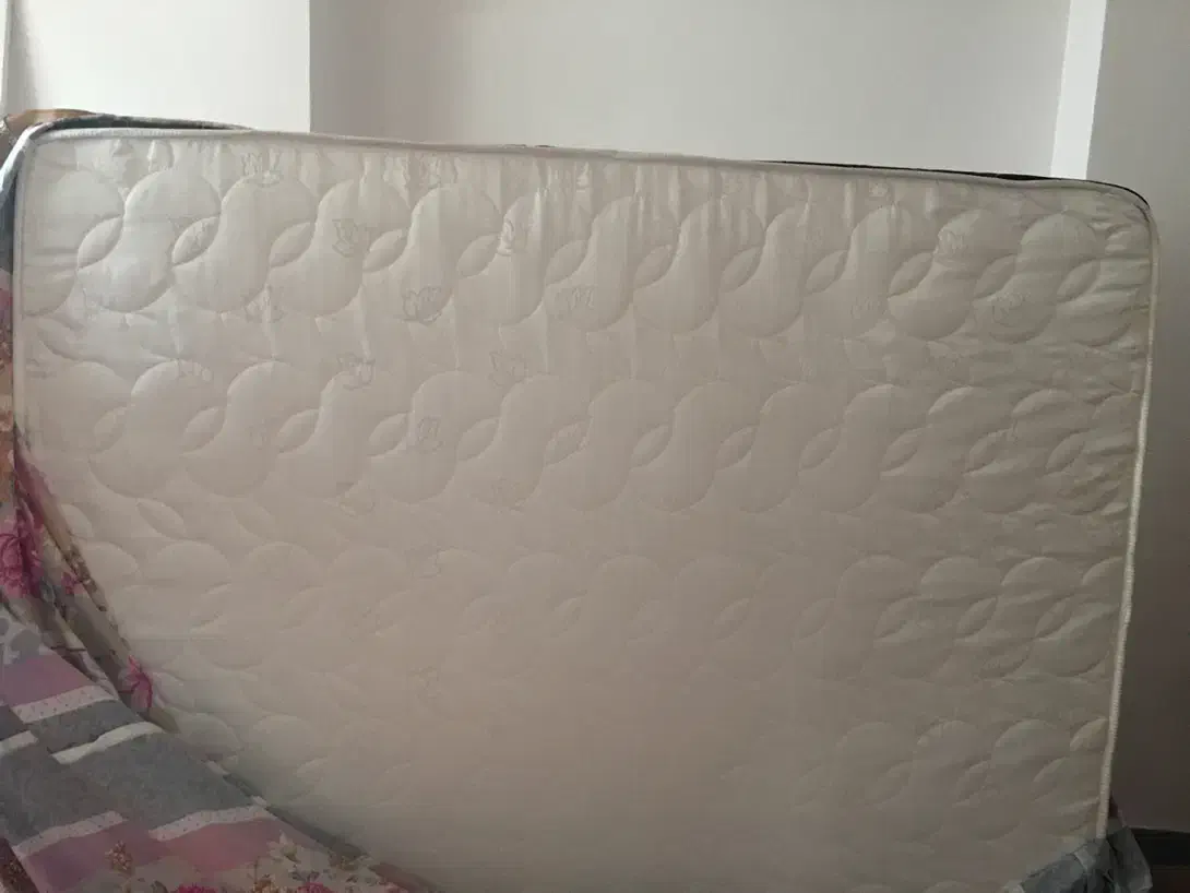 تشک طبی|تخت و سرویس خواب|ساری, |دیوار