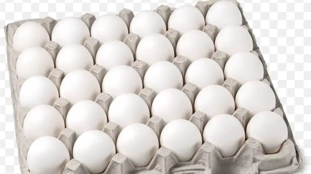 پخش تخم مرغ|خوردنی و آشامیدنی|رشت, سلیمانداراب|دیوار