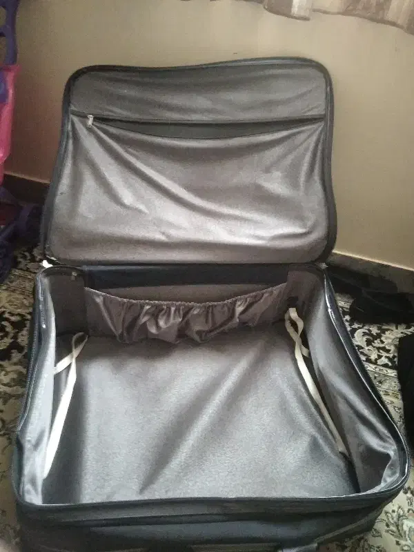 چمدان|کیف، کفش، کمربند|ملارد, |دیوار