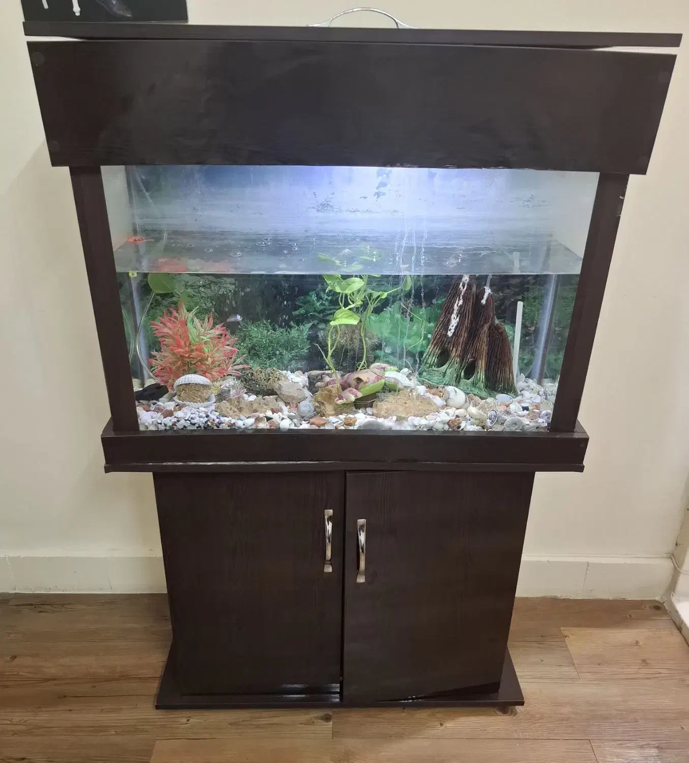 آکواریوم|ماهی|تهران, قصر فیروزه ۱|دیوار