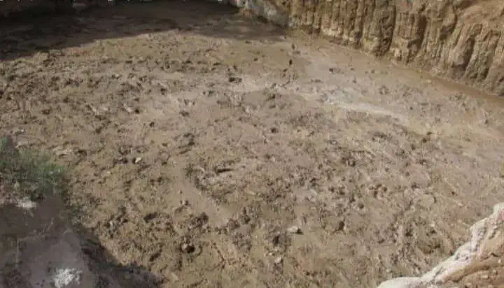 اجرای کار آهک|خدمات پیشه و مهارت|سنندج, |دیوار